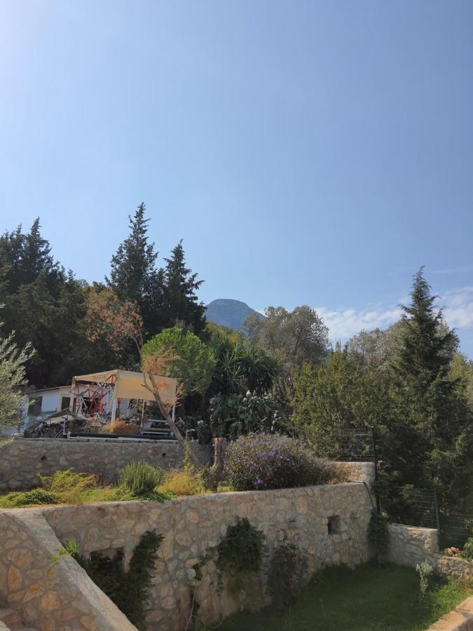 Artolive Datça Dış mekan fotoğraf
