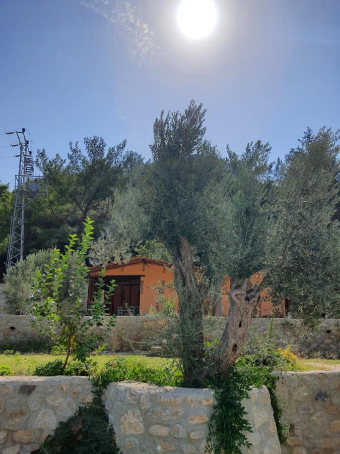 Artolive Datça Dış mekan fotoğraf
