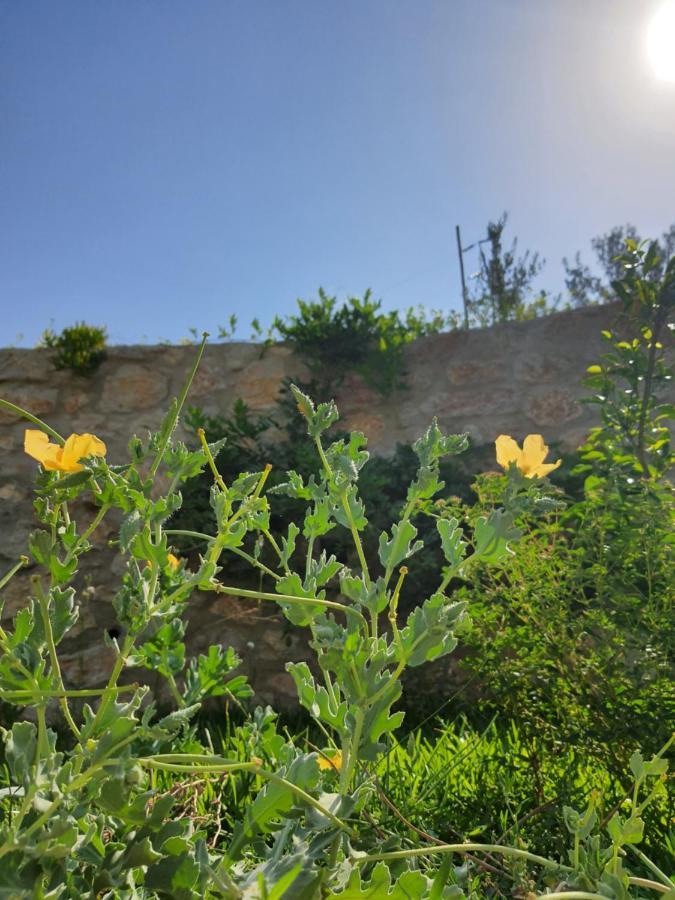 Artolive Datça Dış mekan fotoğraf