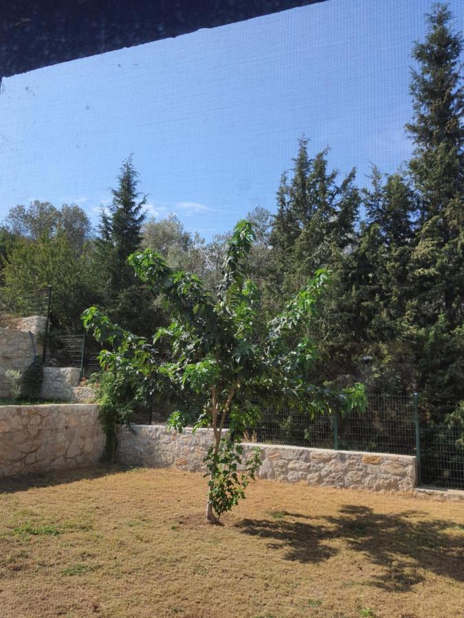 Artolive Datça Dış mekan fotoğraf
