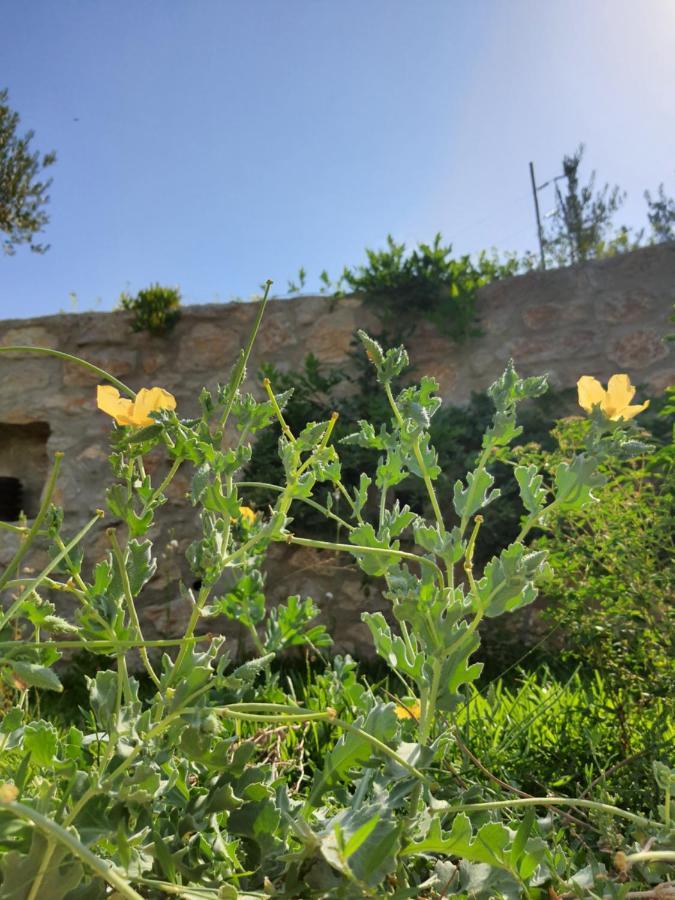 Artolive Datça Dış mekan fotoğraf