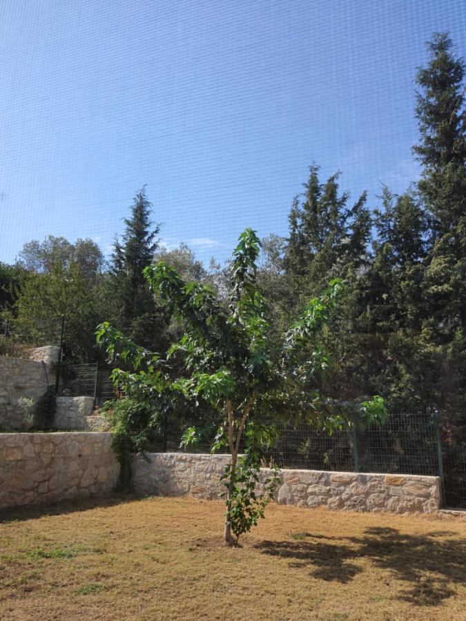 Artolive Datça Dış mekan fotoğraf