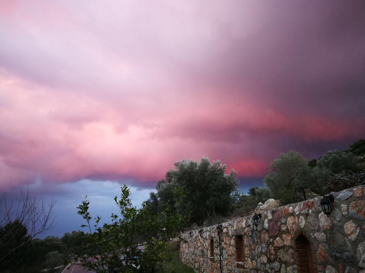 Artolive Datça Dış mekan fotoğraf