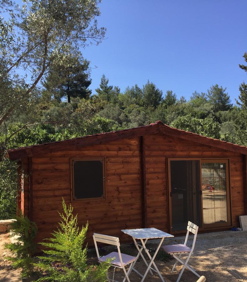 Artolive Datça Dış mekan fotoğraf