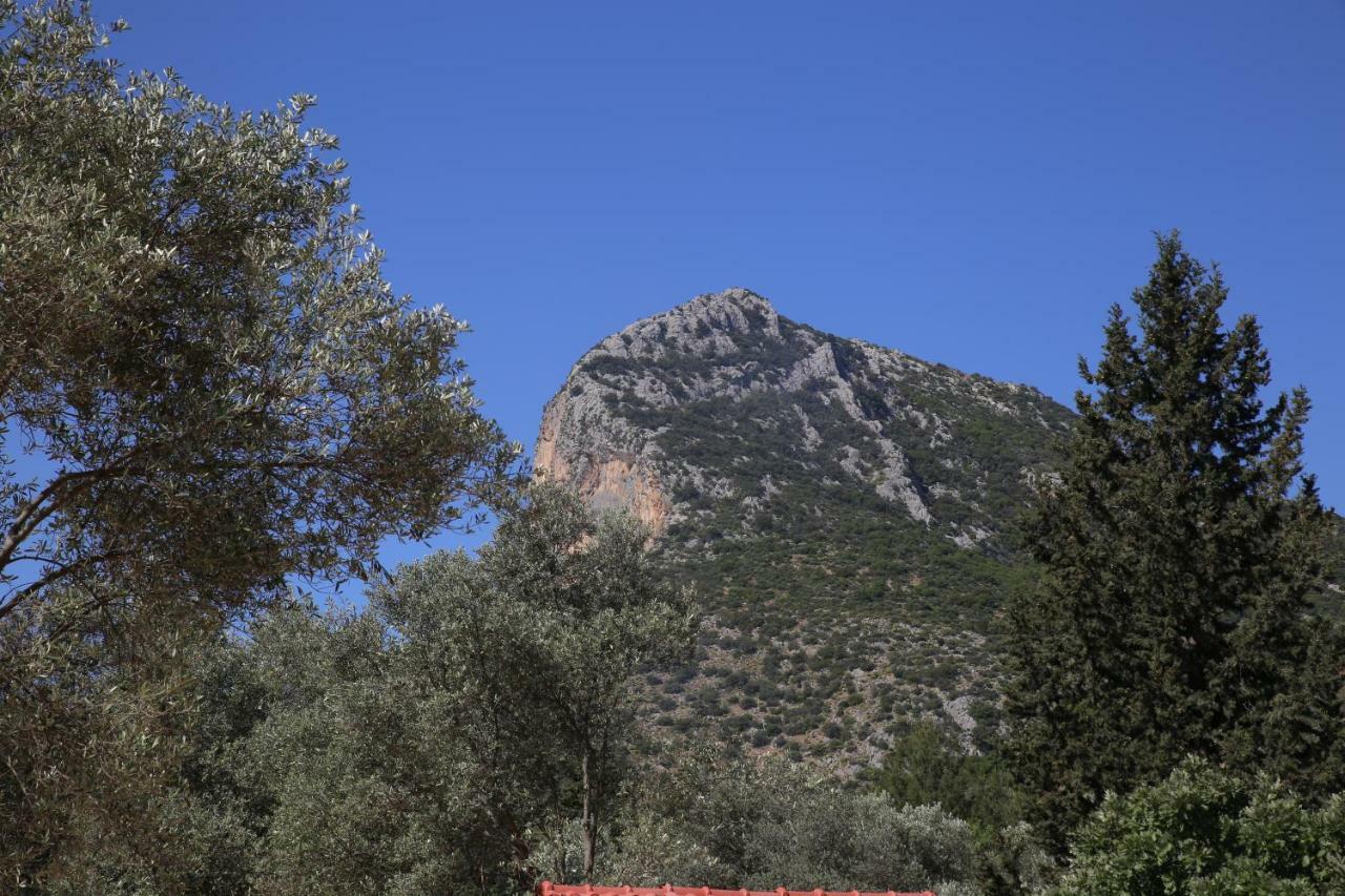 Artolive Datça Dış mekan fotoğraf