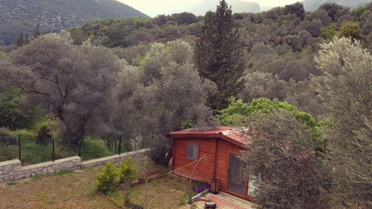 Artolive Datça Dış mekan fotoğraf